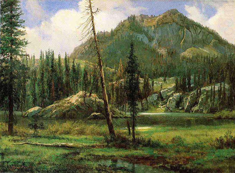 Albert Bierstadt Sierra_Nevada_Mountains china oil painting image
